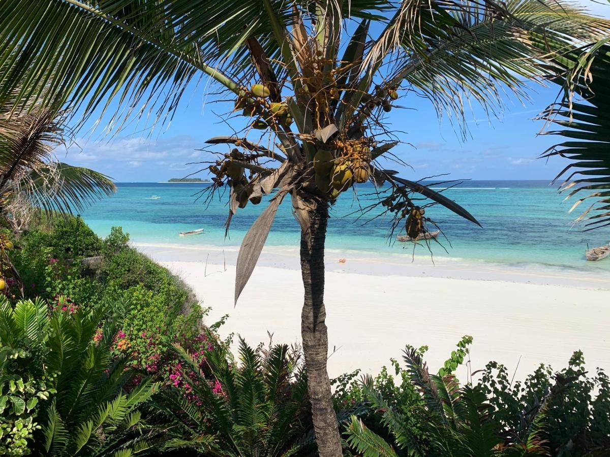 Zi Dhow Resort Matemwe (Zanzibar)